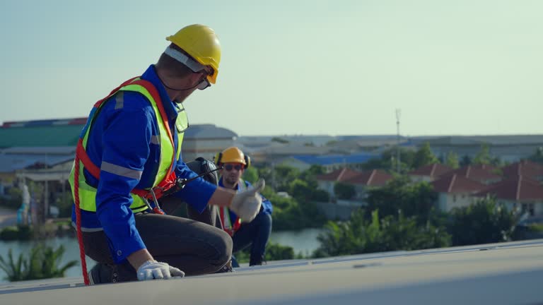 Best Rubber Roofing (EPDM, TPO)  in Havana, IL